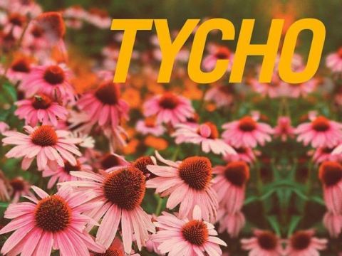 Tycho